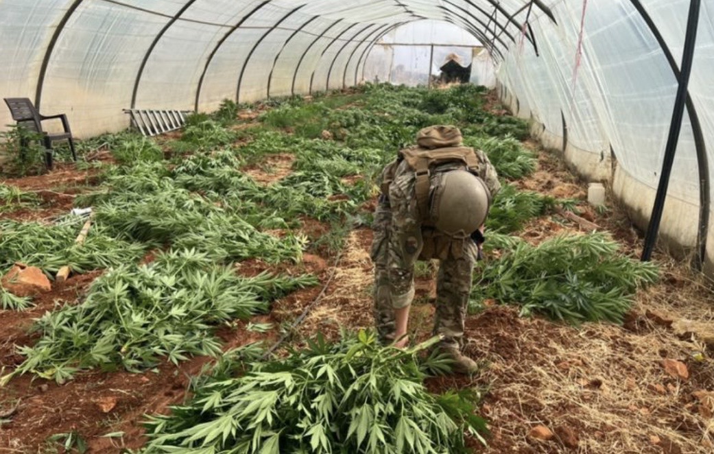 الجيش يضبط كمية من المخدرات ويتلف 14 خيمة مزروعة بالماريجوانا ويوقف 136 سوريًّا